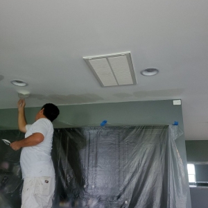 Charlotte Marquina Painting Contractors