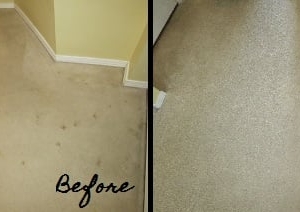 Photo of Supreme Carpet Clean