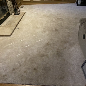 Photo of Supreme Carpet Clean