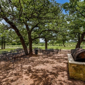Photo of Hamilton Pool Vineyards