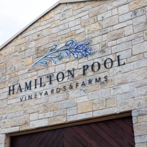 Photo of Hamilton Pool Vineyards