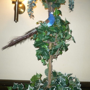 Photo of A English Design