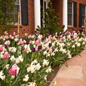 Photo of Pioneer Landscape Centers