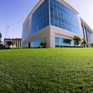 Photo of SYNLawn Nashville