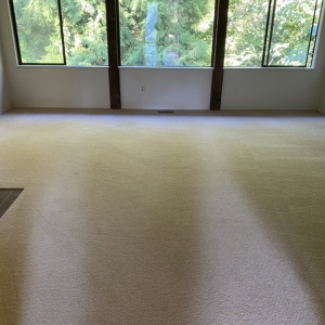 Photo of Nava's Top Tier Cleaning Services