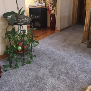 Photo of Carpet For Less