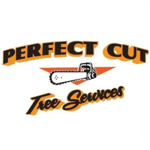 Photo of Perfect Cut Tree Service
