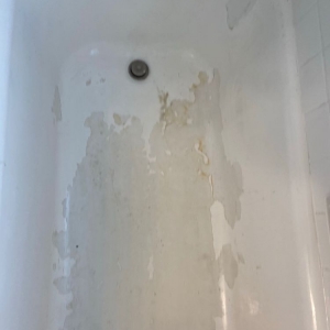 Photo of Tub-Tastic