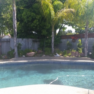 Photo of 4 Seasons Pools