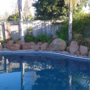 Photo of 4 Seasons Pools