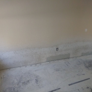 Photo of Drywall Fam