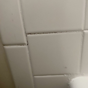 Photo of Premier Refinishing SD