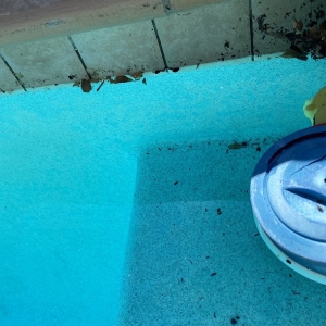 Pleasanton NorCal Pool Service