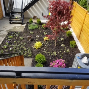 Photo of Townhome Landscapes