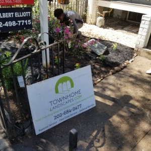 Photo of Townhome Landscapes