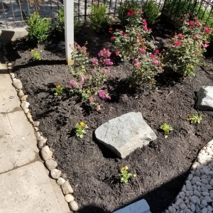 Photo of Townhome Landscapes