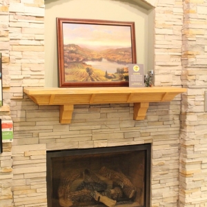 Photo of Southwest Fireplace