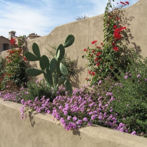 Photo of Giardinello Landscape & Design