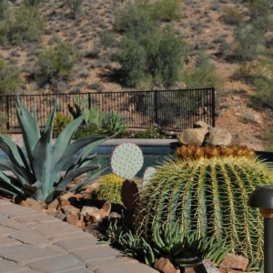 Photo of Giardinello Landscape & Design