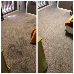 Photo of Revive Carpet Cleaning