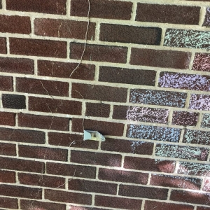 Photo of The Gutter Guys