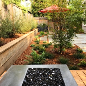 Photo of Blue Hibiscus Gardens