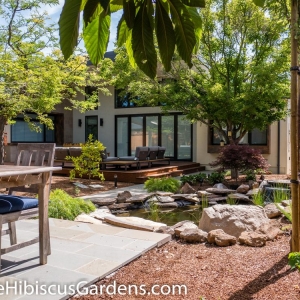 Photo of Blue Hibiscus Gardens