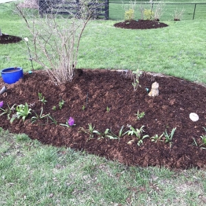 Photo of Jacobson's Mulch and More