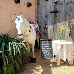 Photo of Chisholm Trail Rustic Venue