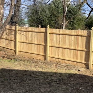 Glenside Everlasting Fence