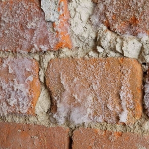 Photo of Value Dry Waterproofing