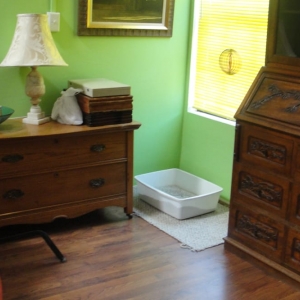 Photo of Sanchez House Cleaning