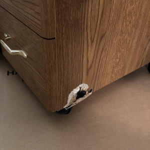 Photo of University Moving and Storage