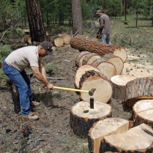 Photo of Erick's Tree Removal and Garden Services