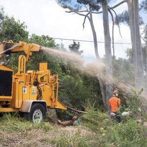 Photo of Erick's Tree Removal and Garden Services