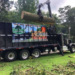 Photo of Erick's Tree Removal and Garden Services