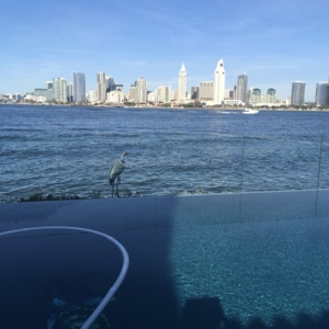 Photo of Freestyle Pools