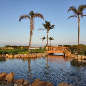 Photo of Seascape Beach Resort