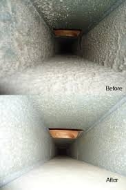 Photo of Elephant Carpet Cleaning