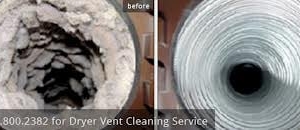 Photo of Elephant Carpet Cleaning