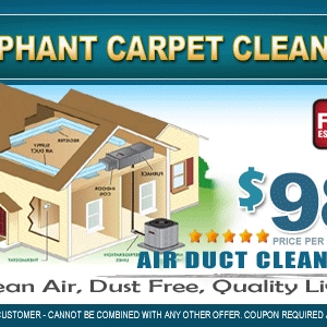 Photo of Elephant Carpet Cleaning