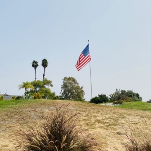 Photo of Carlton Oaks