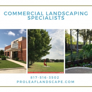 Photo of Proleaf Commercial Landscape