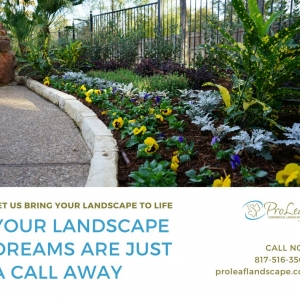 Photo of Proleaf Commercial Landscape