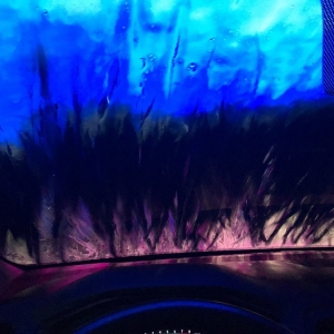 Photo of Tidal Wave Auto Spa