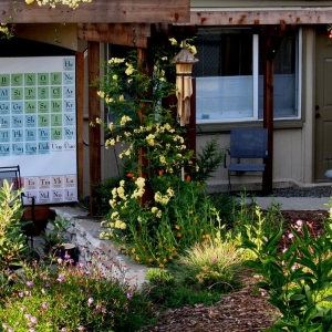 Photo of Second Nature Design
