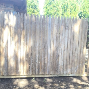 Dallas Blooming Garden Home Maintenance