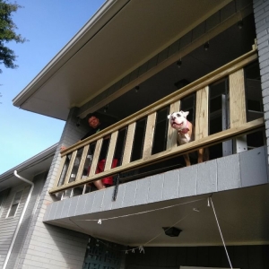 Photo of CF Handyman Services