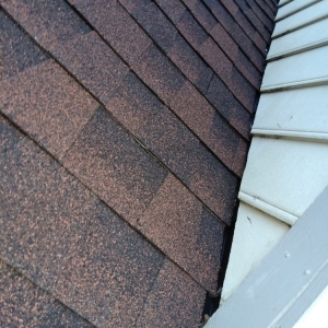 Photo of CF Handyman Services