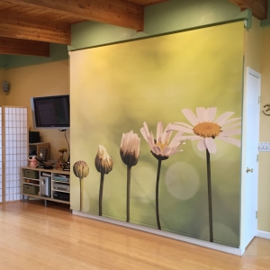 Photo of Orangepiel Custom Printed Shades